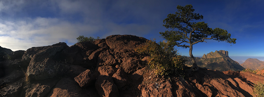 big bend lost mine trail sunrise