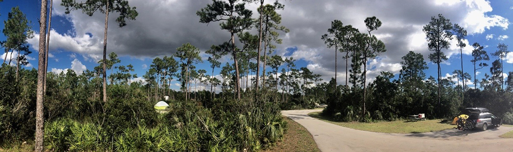 long pine campground is a cozy campground near the park entrance