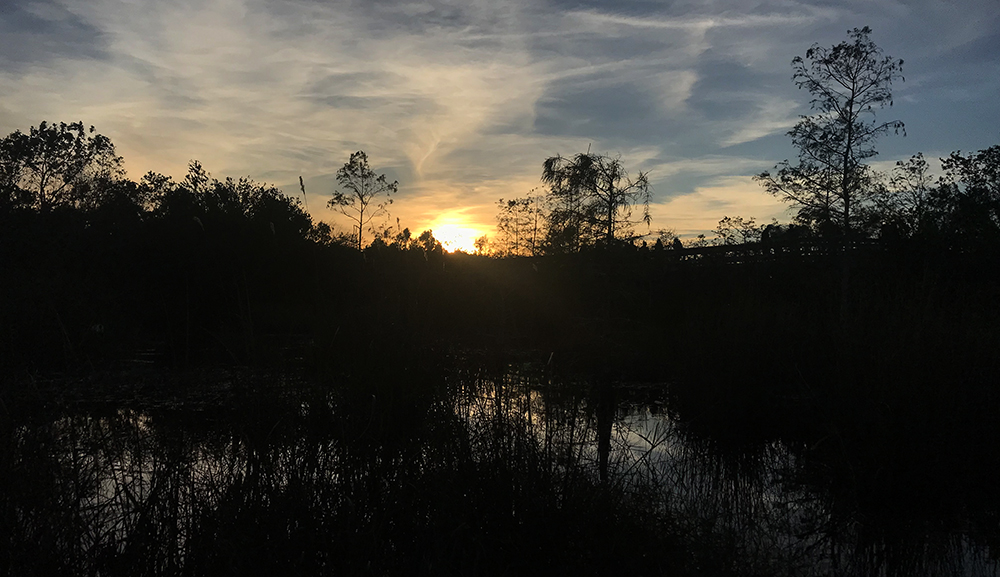 There are no other sunsets like Everglades sunsets