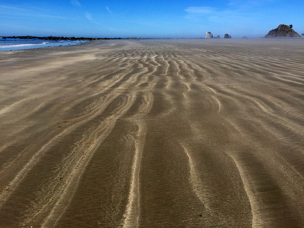 olympic ozette sandy beach