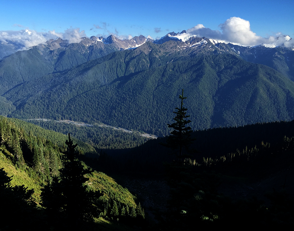 olympic mountains hiking hoh river valley