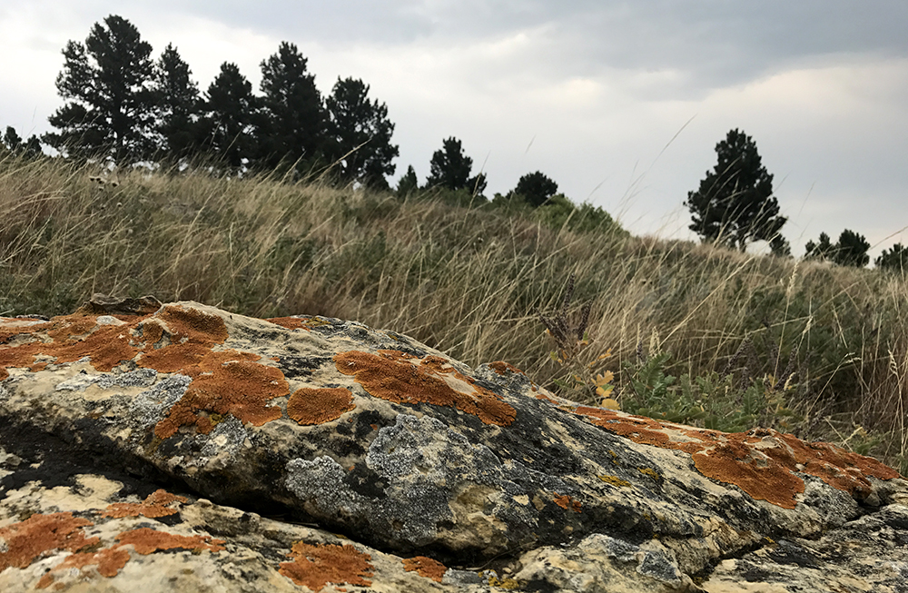 wind cave landscape