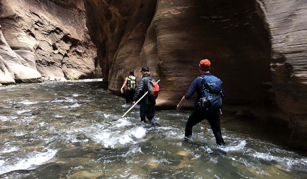 hikers in the zion narrows