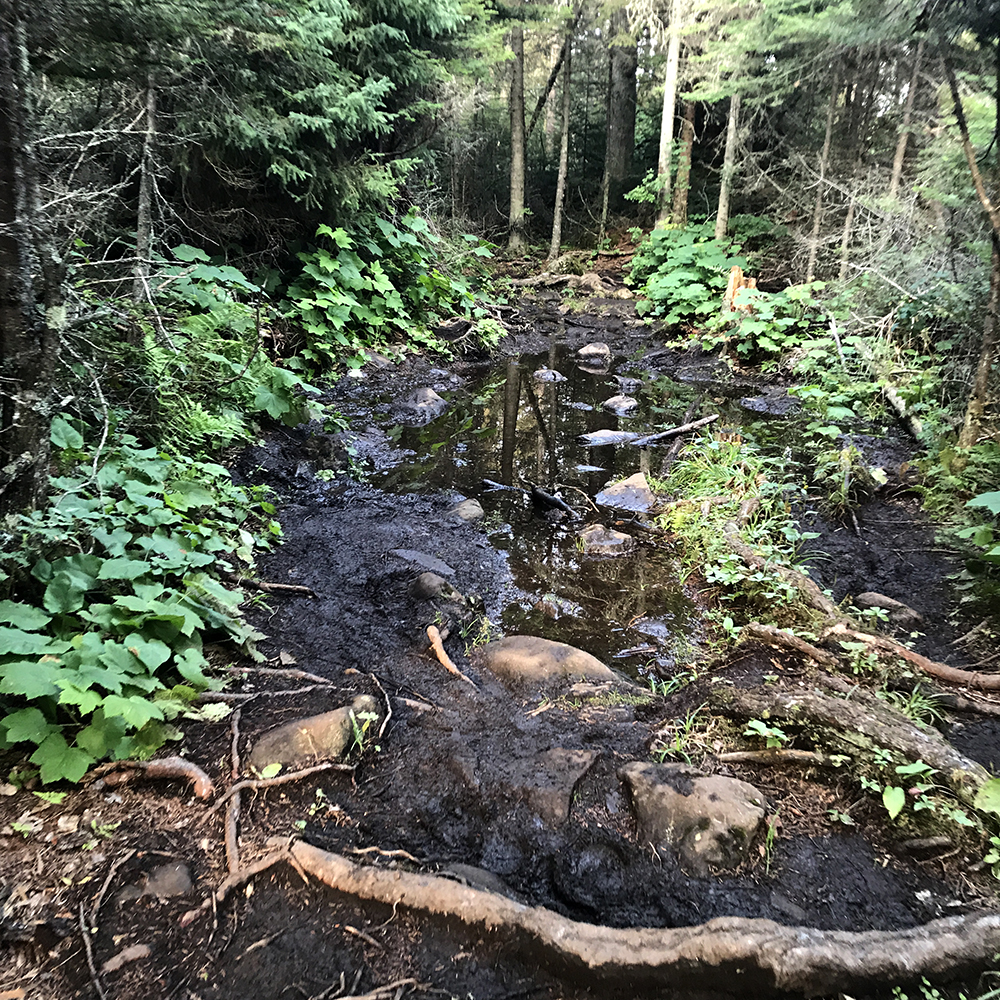isle royale's muddy trails can be challenging