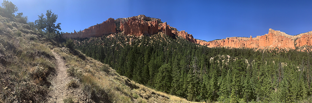 the trail leads upward into red cliffs above