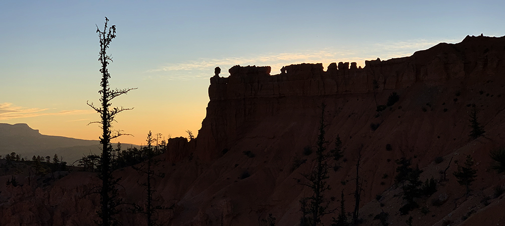 a dead tree and hoodoos stand silhouetted agains the morning sun