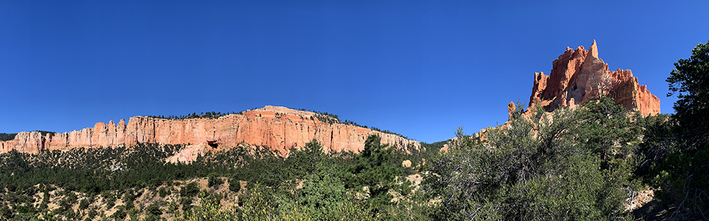 Large red cliffs and massive red monoliths rise above the green forest below. 