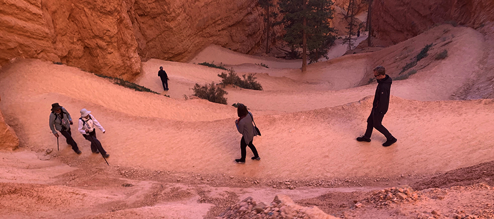 Hikers on the switchbacks of the Navajo Loop Trail