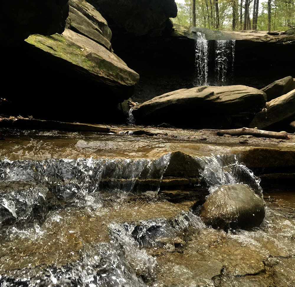 blue hen falls