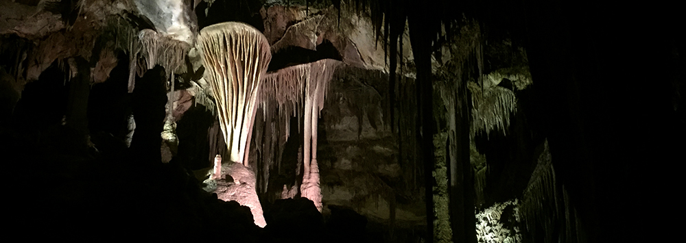 Lehman Caves add an excellent bonus to the park
