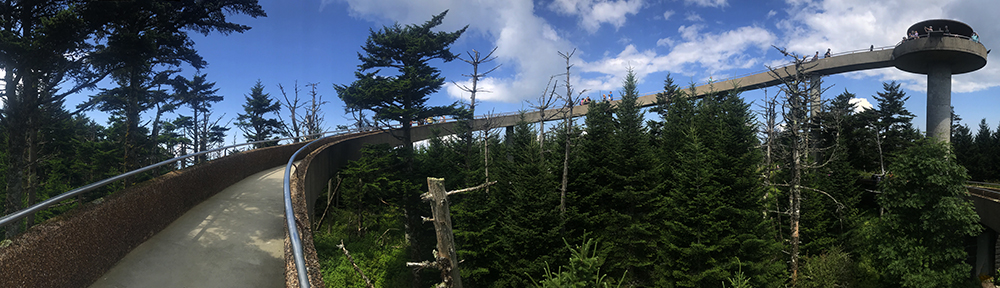 Clingman's Dome is the highest point in Great Smoky Mountains National Park