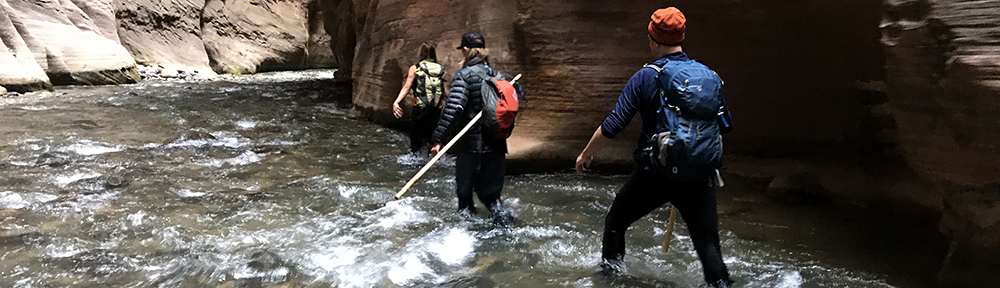 hikers navigating the waters of the zion narrows