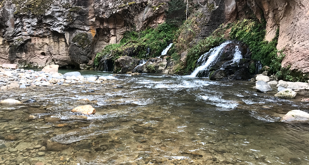 clear waters run through the virgin river at big springs, deep in the zion narrows