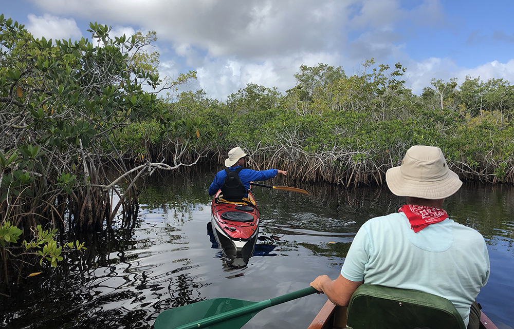 These Pinelands explorers may be paddling their kayaks through