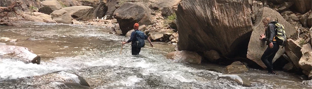 hikers wade through the rushing waters of the Virgin River's Zion Narrows