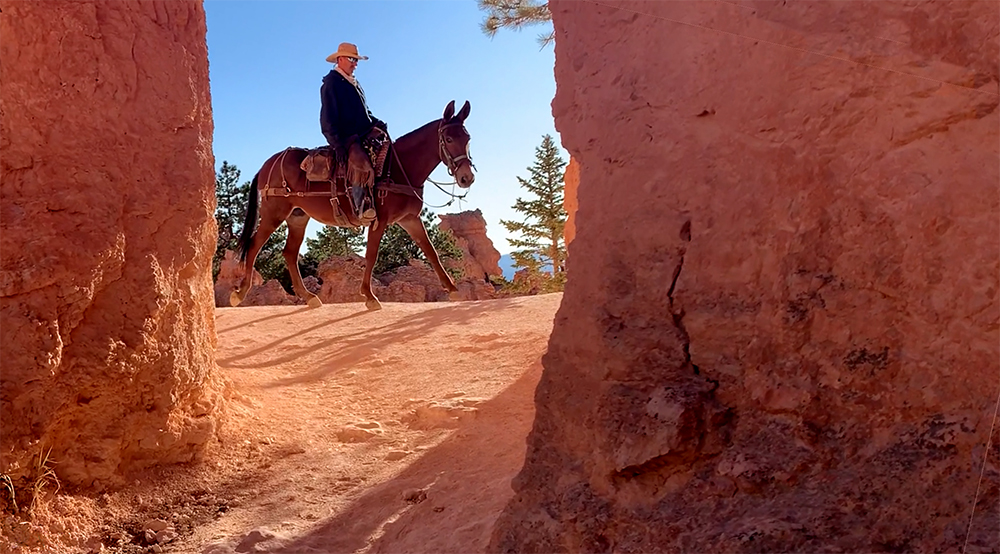 A rider on a mule moves toward a tunnel on a trail in Bryce Canyon. 