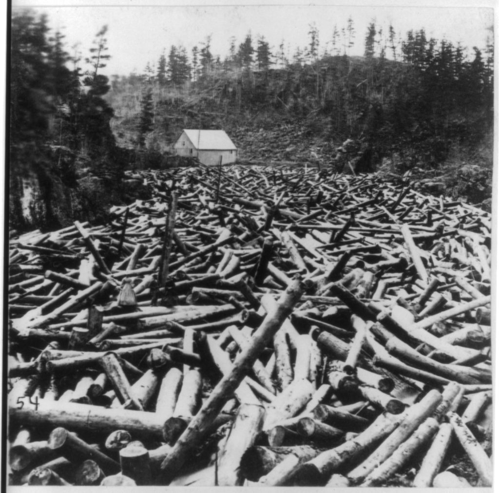 photo of pine logs filling a valley floor