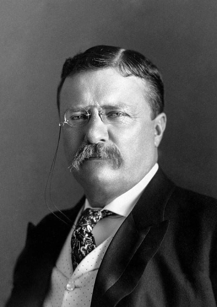 portrait of President Roosevelt