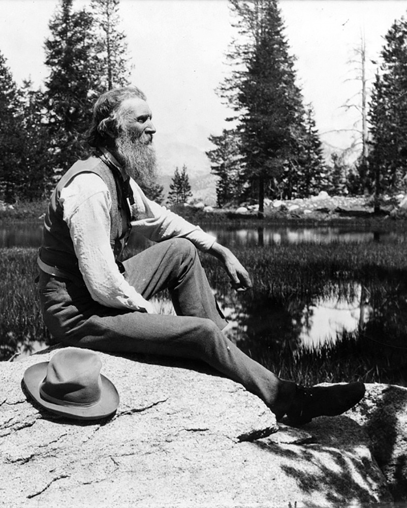 john muir seated on a rock with trees behind him