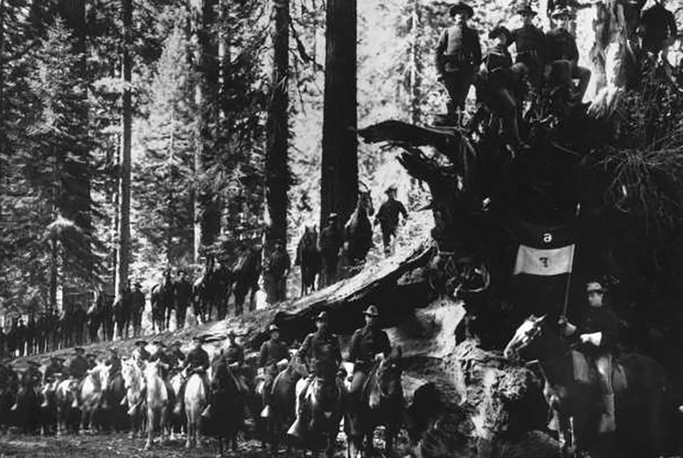 army soldiers stand on a massive fallen tree in yosemite in the 1890s