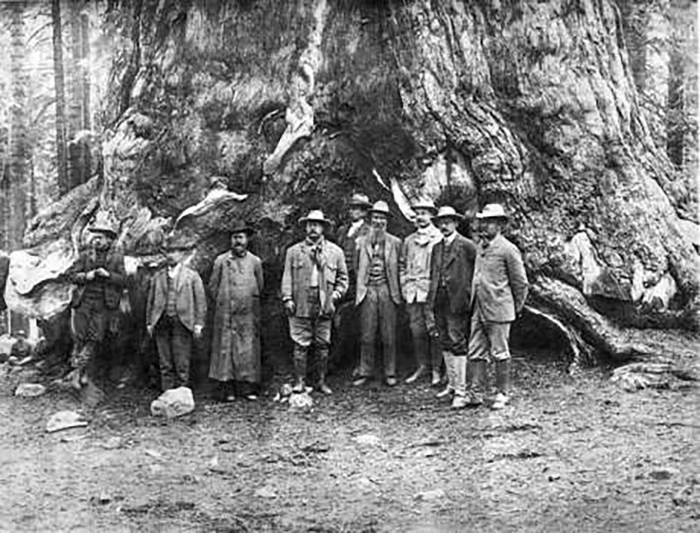 president roosevelt and john muir stand with associates in front of big tree in wawona